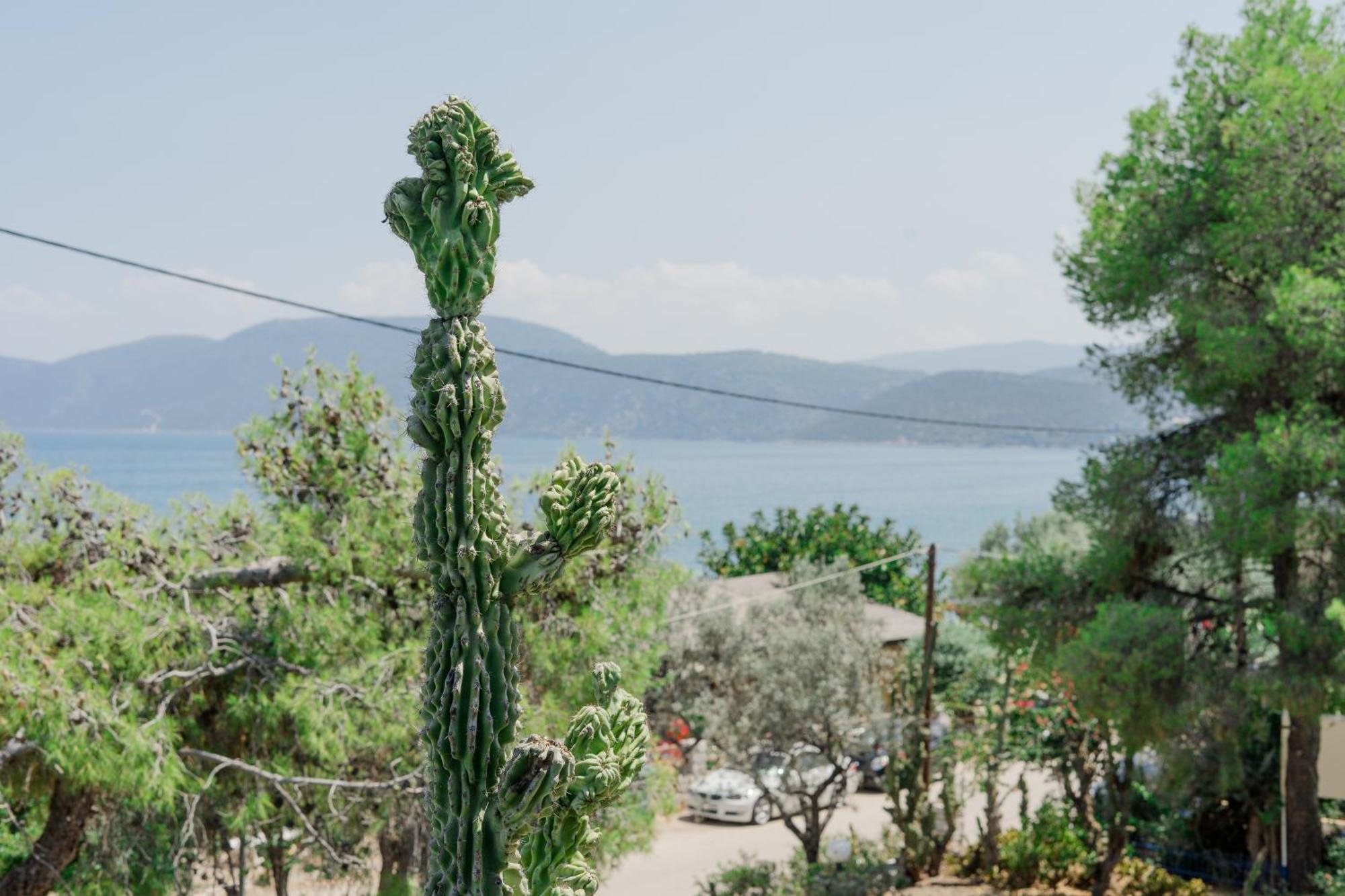 Hotel Korfos - Ξενοδοχείο Κόρφος Renovated Dış mekan fotoğraf
